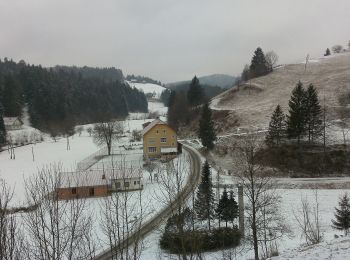 Randonnée A pied Leutschach an der Weinstraße - Kleeblattwanderweg Nr. 1 - Photo