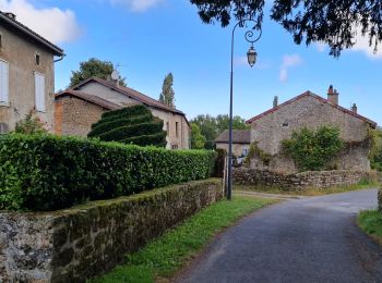 Randonnée Marche Razès - Razes - Photo