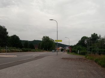 Tocht Te voet Mosbach - Rundwanderweg Knopfwald 2: Galgenforlen-Weg - Photo