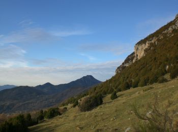 Percorso A piedi Ogassa - Ogassa-Sant Martí Surroca - Photo