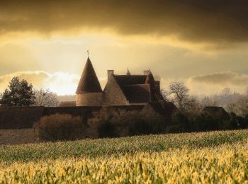 Tour Wandern Perche en Nocé - La fontaine Froide 10 km - Photo