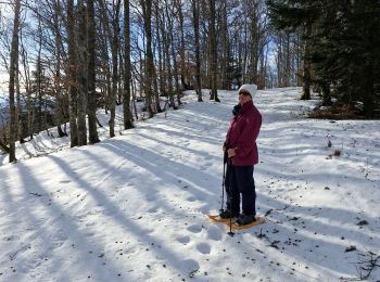Trail Snowshoes Bouvante - 20240124fonturle - Photo