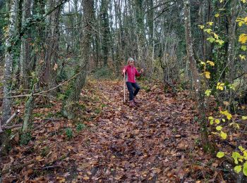 Trail Walking Montagny-lès-Buxy - Yes we Cam - Photo
