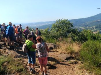 Tour Wandern Pavezin - Crêt de Baronnette - Photo