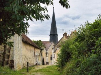 Tocht Stappen Verrières - SityTrail - SityTrail - Les Vieilles Trognes 9 Km - Photo