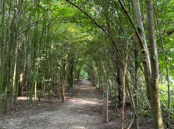 Tocht Stappen Sint-Genesius-Rode - Brassine 20240818 - Photo