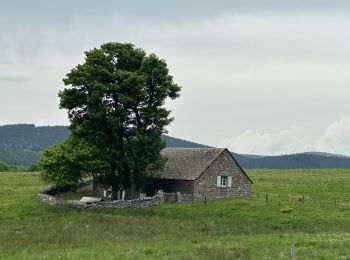 Excursión sport Saugues - Saint-Jacques, 2024, étape trois - Photo