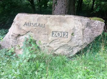 Tocht Te voet Neckargerach - Rundwanderweg Neckargerach 4: Gertberg-Weg - Photo