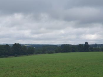 Tocht Stappen Habay - rando moulin d anlier 31/07/2021 - Photo