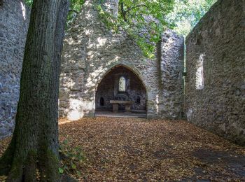 Tocht Te voet Meißner - Kupferbachtal und Krösselberg - Photo