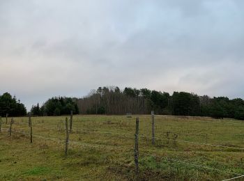 Randonnée A pied Mittenwalde - Rundwanderweg Töpchin - Photo