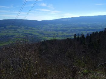 Tour Wandern Plateau d'Hauteville - Ferme Guichard  - Photo