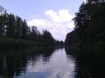 Tour Zu Fuß Lübben (Spreewald) - Rundwanderweg Batzlin - Photo