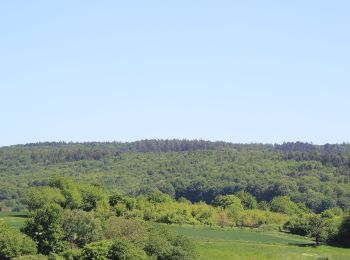 Tocht Te voet Freigericht - Spessartspuren - Somborner Hügelland-Spur - Photo