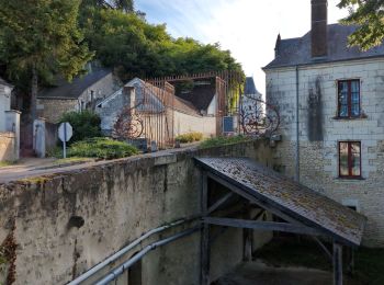 Tour Wandern Saint-Georges-sur-Cher - Saint-Georges-sur-Cher - 5,5km 65m 1h05 - 2016 12 26 - Photo