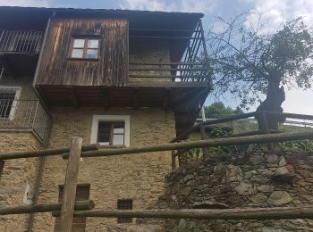 Excursión A pie Tirano - (SI D30N) Madonna di Tirano - Alpe Salina - Photo