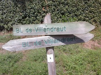 Percorso A piedi Villandraut - Boucle locale de Villandraut - Photo