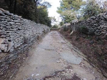 Trail Walking Saumane-de-Vaucluse - saumane 84 la pierre seche - Photo