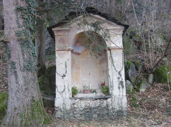 Randonnée A pied Ornavasso - A21 - Punta di Migiandone - Cima Tre Croci - Photo