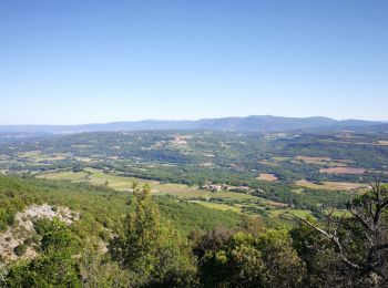 Tour Wandern Castellet-en-Luberon - Mourre du Grd Lubéron, crêtes et versant Nord  - Photo