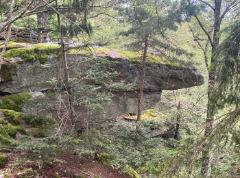 Excursión sport Ribeauvillé - Grande verrerie - Rocher des Géants  - Photo