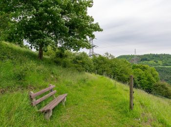 Percorso A piedi Beverungen - Erlesene Natur - Wo der Bock zum Gärtner wird - Photo