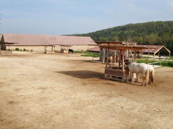 Tour Wandern Véron - Rosoy 230430 - Photo