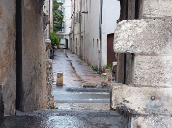 Tour Wandern Avignon - baguenaudage en Avignon - Photo