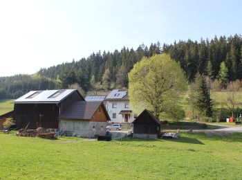 Trail On foot Wallenfels - Leutnitztal-Weg RT 12 - Photo