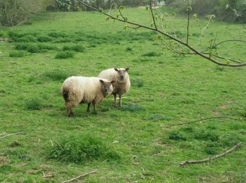 Tour Wandern Saint-Hilaire-de-Voust - St Hilaire de Voust  - Photo