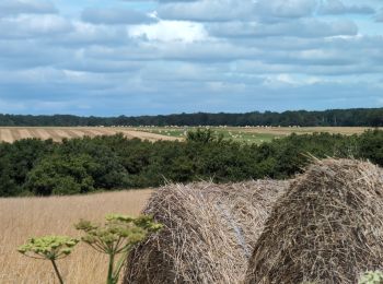 Trail Walking Chissay-en-Touraine - Chissay-en-Touraine - Zig zag Beaune les Durdents - 18.2km 330m 3h50 - 2024 08 14 - Photo