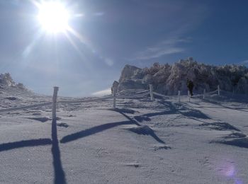 Tocht Sneeuwschoenen Léoncel - Le Grand Echaillon - Les Crêtes de la Sausse - Photo