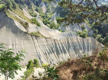 Excursión Senderismo Rosières - Ravin de corbeuf  - Photo