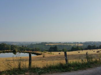 Excursión Senderismo Bosmie-l'Aiguille - charroux - Photo