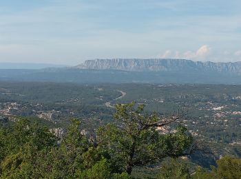 Tocht Stappen Roquevaire - Lascours Mont du Marseillais - Photo