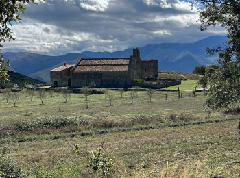 Excursión sport Arboussols - 20241010 Arboussols-Tarerach- Marcevol - Photo