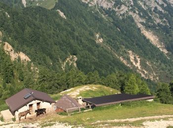 Tour Zu Fuß Esino Lario - Sentiero 37/39: Valle dei Mulini - Photo