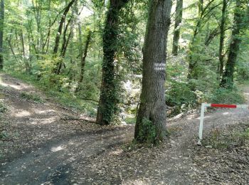 Trail Mountain bike Flavigny-sur-Moselle - 16km-decouverte - Photo