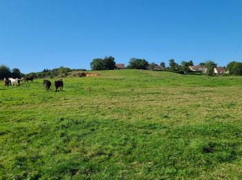 Tocht Stappen Marigny-en-Orxois - Marigny en Orxois du 15-09-2024 - Photo