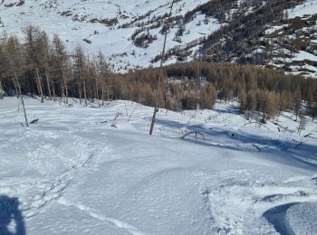 Excursión Esquí de fondo Cervières - bois de Prafauchier par col de chaudemaison  - Photo