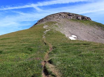 Trail On foot Isenthal - Bannalper Schonegg - Rot Grätli - Photo