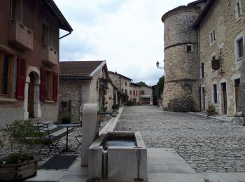 Excursión Marcha nórdica Saint-André-en-Royans - Circuite en 8 autour de Saint-André-en-Royans - Photo