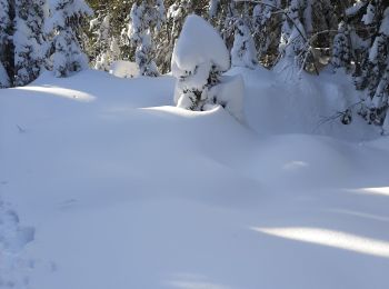 Tocht Sneeuwschoenen Engins - lans 2 - Photo