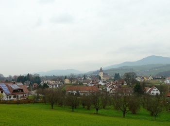 Tocht Te voet Sasbach - Erlebnis-Rundweg Obersasbach - Photo