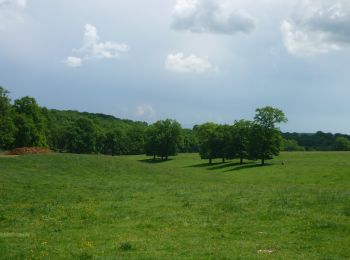 Randonnée V.T.T. Roanne - Au Bord de la forêt de Lespinasse - Photo