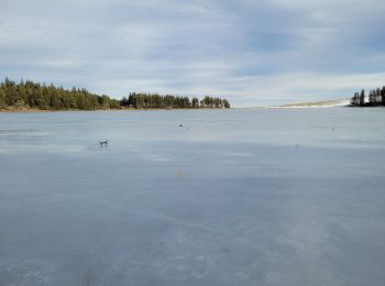 Trail Walking Saulzet-le-Froid - pessade Serviere_T - Photo