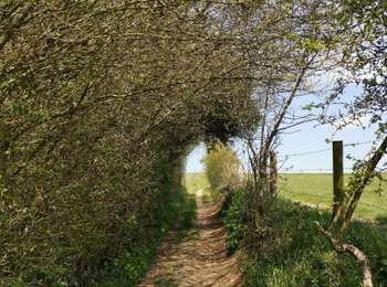 Excursión Senderismo Yvoir - DORINNE ... Centre géographique de la Wallonie. - Photo