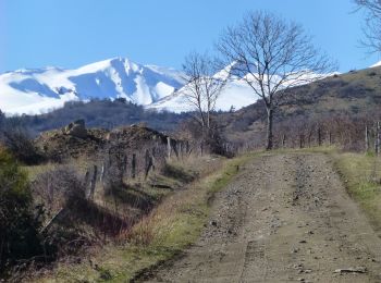 Trail Walking Saint-Diéry - saint diery - Photo