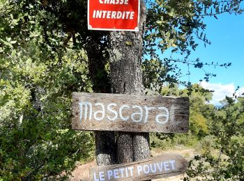 Randonnée Marche Sillans-la-Cascade - 20201014 Fox-Amphoux 2 - Photo