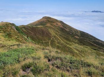 Tour Wandern Marignac - pic du Burat depuis Marignac à Gouaux de Luchon - Photo